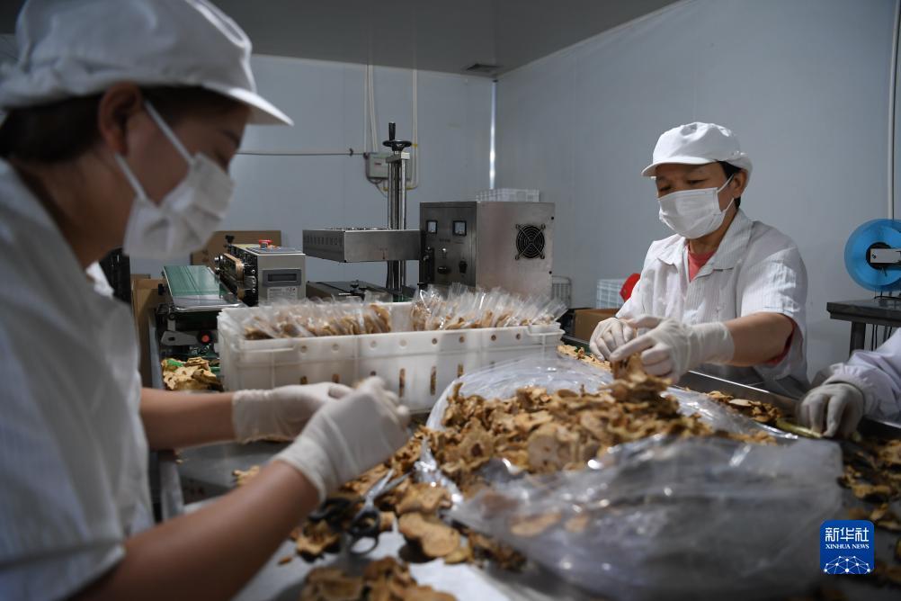 巴黎人现金线上